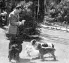 Basil and his dogs