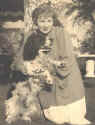 Happy (springer spaniel) and Ouida